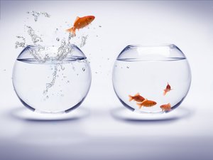 方案选型指南：找到最适合你的方案